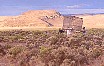 grasshopperbox.jpg