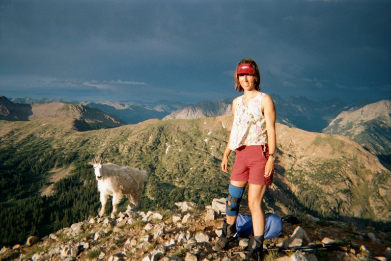 North Twilight with goat